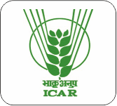 Icar